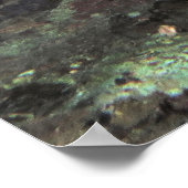 Big Ol Pair van Bigeyes Poster (Hoek)