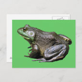 Big Old Bullfrog Animal Briefkaart (Voorkant / Achterkant)
