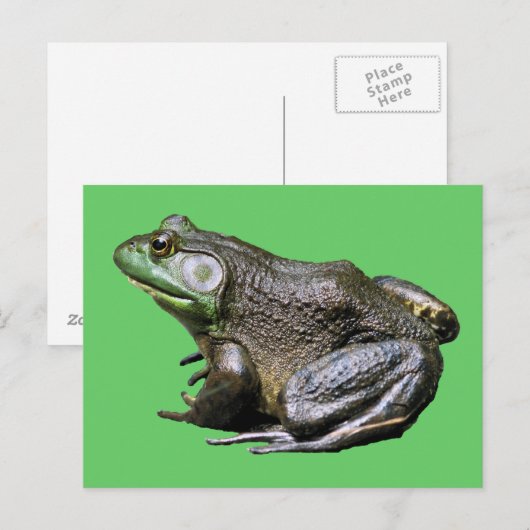 Big Old Bullfrog Animal Briefkaart (Voorkant / Achterkant)