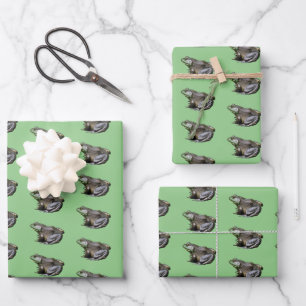 Big Old Bullfrog Animal Natuur Inpakpapier Vel