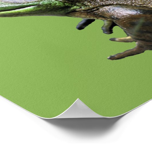 Big Old Bullfrog Kids Room Personalized Poster (Hoek)