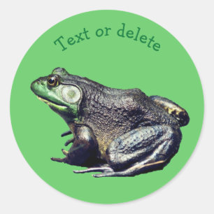 Big Old Bullfrog Natuur Animal Specialized Ronde Sticker