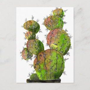 Big Old Stingy Cactus Briefkaart