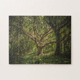 Big Old Tree in het bos Legpuzzel