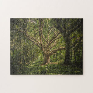Big Old Tree in het bos Legpuzzel