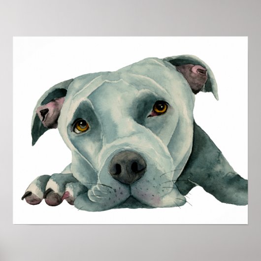 Big Ol'Head | Pit Bull Dog Waterverf Painting Poster (Voorkant)