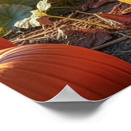 Big Orange Poster (Hoek)