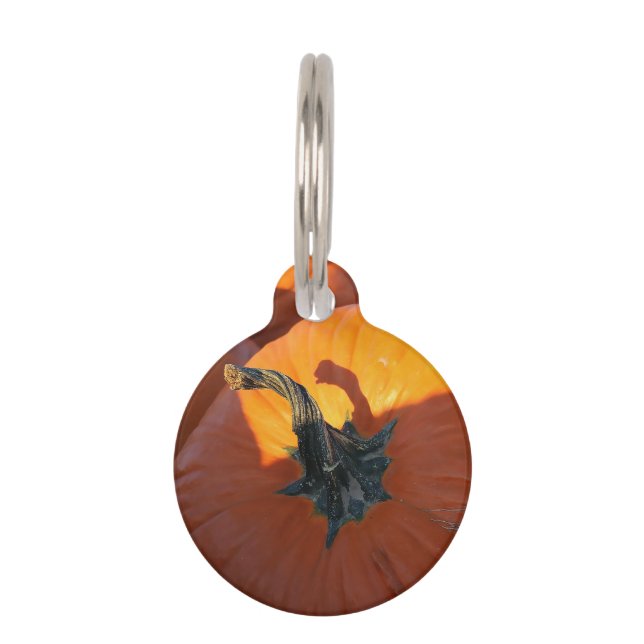 Big Orange Pumpkin  Huisdierpenning (Voorkant)