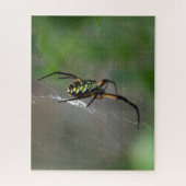 Big Orb Weaver Spider op Web Natuur Puzzel (Verticaal)