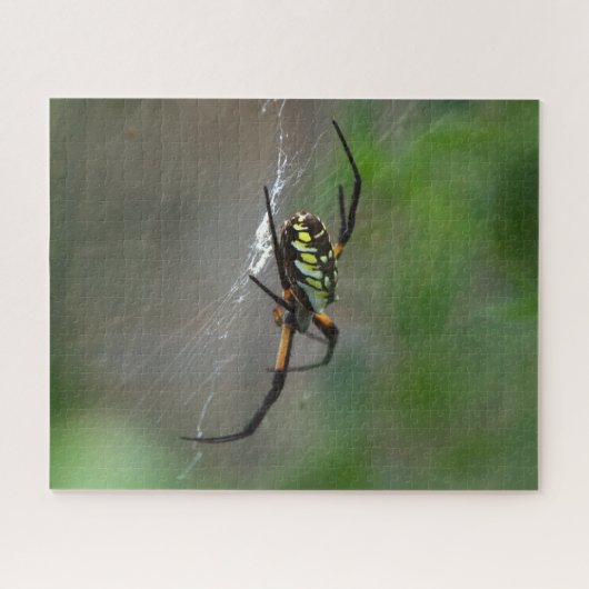 Big Orb Weaver Spider op Web Natuur Puzzel (Horizontaal)