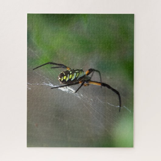 Big Orb Weaver Spider op Web Natuur Puzzel Legpuzzel (Verticaal)