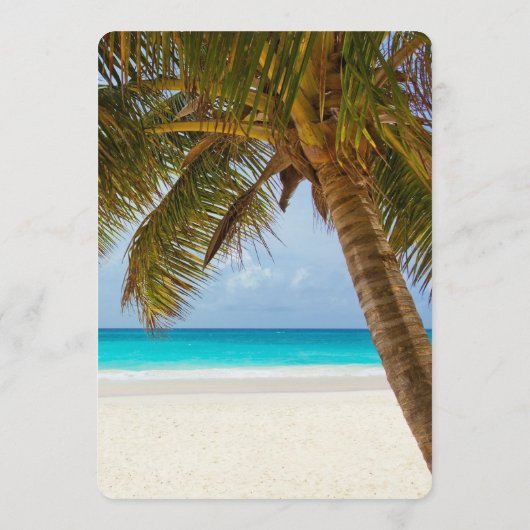 Big Palm Tree Specialty Paper Menu Sjabloon (Achterkant)