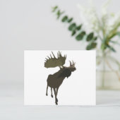 Big papa Moose Briefkaart (Staand voorkant)