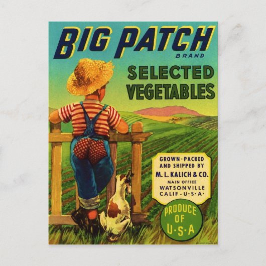Big Patch Briefkaart (Voorkant)