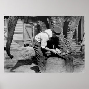 Big Pedicure, jaren 1910 Poster