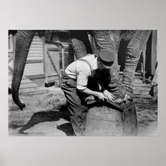 Big Pedicure, jaren 1910 Poster (Voorkant)