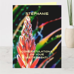 BIG Pensioenfelicitaties, JUMBO, Exotic Aloe Kaart