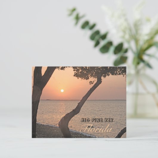 Big Pine Key Sunrise Briefkaart (Staand voorkant)