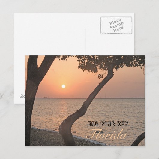 Big Pine Key Sunrise Briefkaart (Voorkant / Achterkant)