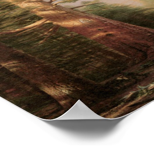 Big Pine Tree Art Print Poster (Hoek)