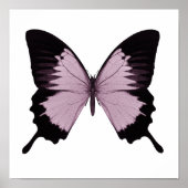 Big Pink & Black Butterfly - Personaliseer Poster (Voorkant)