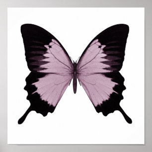 Big Pink & Black Butterfly - Personaliseer Poster