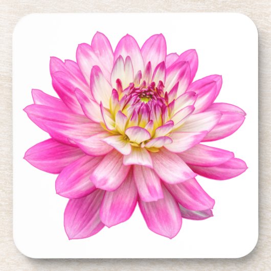 Big Pink Dahlia Bier Onderzetter (Voorkant)