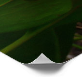 Big Pink en White Flower Natuur Foto Poster (Hoek)