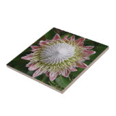 Big Pink en White Flower Natuur Foto Tegeltje (Zijkant)