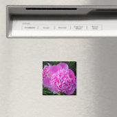 Big Pink Peony Flower Magnet (Insitu (Vaatwasser))