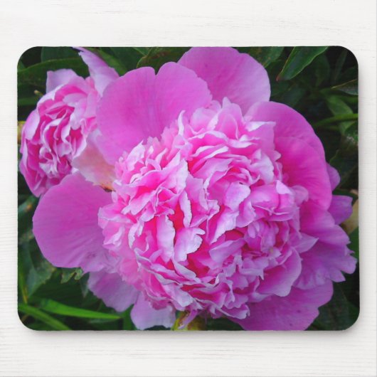 Big Pink Peony Muismat (Voorkant)