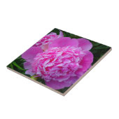 Big Pink Peony Tile Tegeltje (Zijkant)
