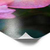 Big Pink Rhododendron Bloom Floral Foto Afdruk (Hoek)