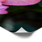 Big Pink Rhododendron Bloom Floral Perfect Poster (Hoek)