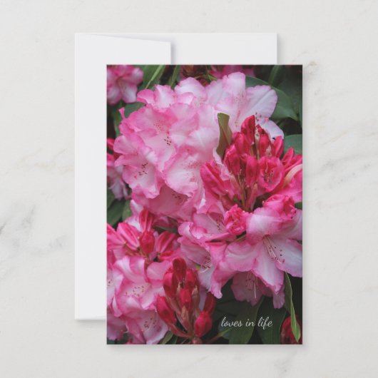 Big Pink Rhododendron Notitiekaartje (Voorkant)
