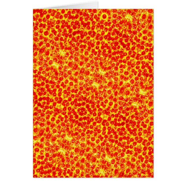 Big Pizza Pattern (Voorkant)