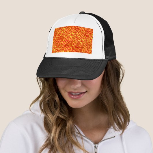 Big Pizza Pattern Trucker Pet (In situ)