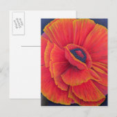 Big Poppy 2003 Briefkaart (Voorkant / Achterkant)