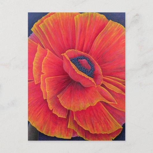 Big Poppy 2003 Briefkaart (Voorkant)