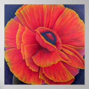 Big Poppy 2003 Poster