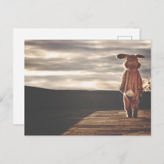 Big Rabbit Briefkaart (Voorkant / Achterkant)