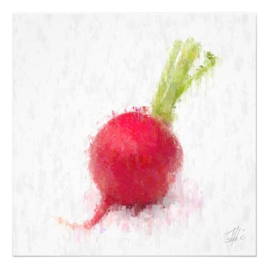 Big Radish Foto Afdruk (Voorkant)