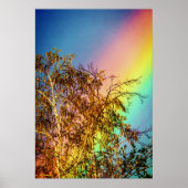 Big Rainbow Poster (Voorkant)