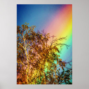 Big Rainbow Poster