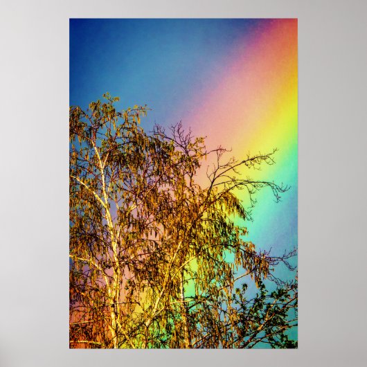 Big Rainbow Poster (Voorkant)