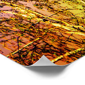 Big Rainbow Poster (Hoek)