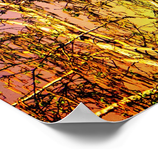 Big Rainbow Poster (Hoek)