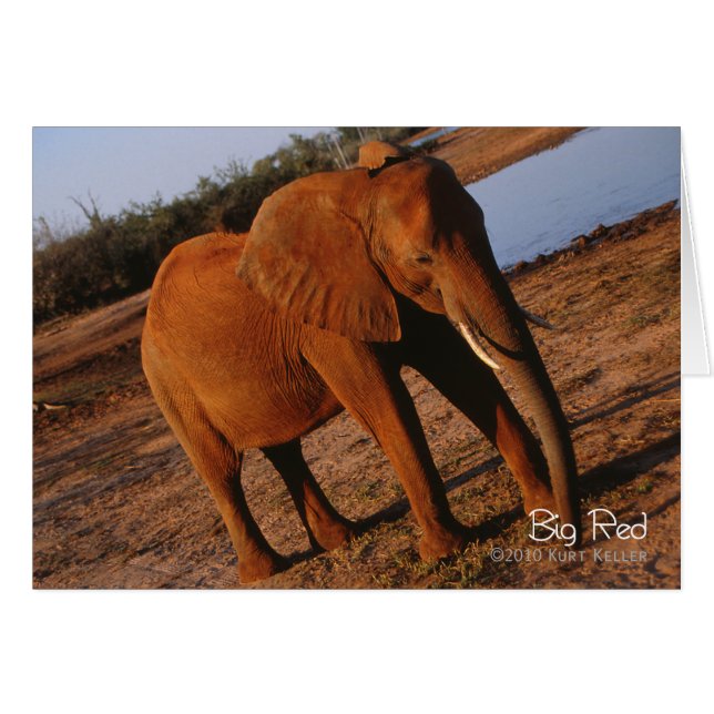 Big Red (Voorkant Horizontaal)