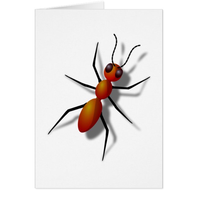 Big Red Ant (Voorkant)
