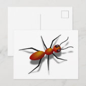 Big Red Ant Briefkaart (Voorkant / Achterkant)